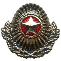Кокарда в венке Вооруженных сил республики Беларусь парадная
