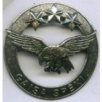 National Armed Forces Air forces berets cockade /Latvian National Armed Forces/