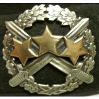 National Armed Forces National Guard company ''BALTSQN-12'' berets cockade /Latvian National Armed Forces/
