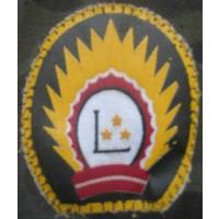 National Guard patche  /Latvian National Armed Forces/