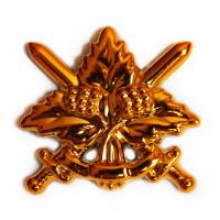 General Military Insignia of the Armed Forces of Ukraine