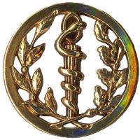 Medical Service Metal Beret Badge of French Army