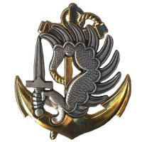 Эмблема на берет морской пехоты ВМС Франции