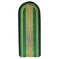 Ukraine Border Guards Rank Insignia Sergeant Major