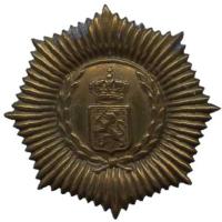 Петличная эмблема аэромобильного полка "Van Heutsz" Королевских сухопутных сил Нидерландов