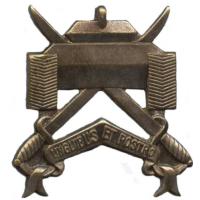 Кокарда знак 17-го эскадрона Военной разведки (RECCE) Королевских ВС Бельгии