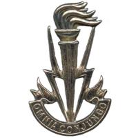 Кокарда знак Корпуса связи Королевских ВС Бельгии