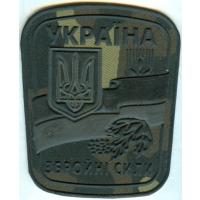 ВС Украины
