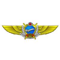 Air Force Pilot-sniper Qualification Badge Republic of Belarus