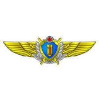 Нагрудный квалификационный знак военного штурмана 1-го класса ВВС Республики Беларусь