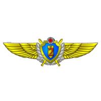 Нагрудный квалификационный знак военного штурмана 2-го класса ВВС Республики Беларусь