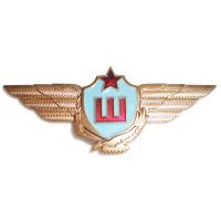 The 1nd class qualification pilot badge "Master" of the Republic of Kazakhstan Armed Forces