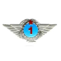 The 1st class of Technical Support and Air Defense Forces Qualification Badges. Republic of Kazakhstan