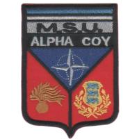 Peacekeeping Multinational Special Unit ALPHA. Estonia