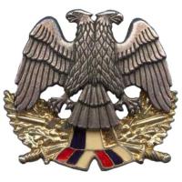 Кокарда знак на берет офицерского состава ВС СРЮ (1992-2003)
