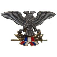 Кокарда знак на берет рядового состава ВВС СРЮ (1992-2003)