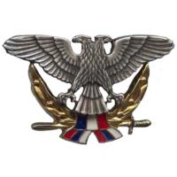 Кокарда знак на берет офицерского состава ВВС СРЮ (1992-2003)