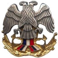 Кокарда знак на берет офицерского состава ВМС СРЮ (1992-2003)