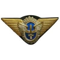 Air Force Officiers Cap Metal Badge Argentina