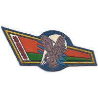 Berets Flash Patch of 103th separate mobile brigades of the Armed Forces of Belarus