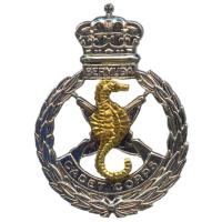 Bermuda Regiment Cadet Corps,cap badge
