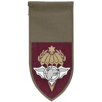 Center of special units Shoulder Tag of the Israel Defense Forces