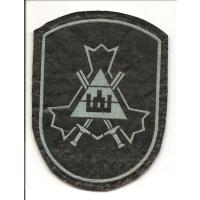 Нарукавный знак Добровольных сил охраны края