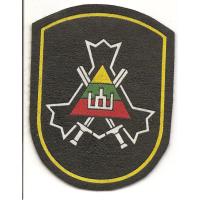 Нарукавный знак Добровольных сил охраны края