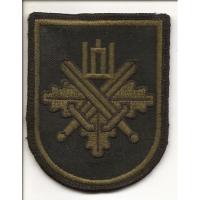 Нарукавный знак Добровольных сил охраны края