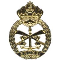 Кокарда знак на берет рядового состава ВС