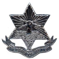 Кокарда знак пехотного полка о.Барбадос