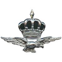 Кокарда знак на пилотку офицеров Королевских Военно-воздушных сил