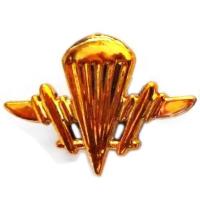 Ukrainian Aeromobile Forces (Airborne) Color Insignia