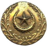 Battalion Quartermaster Havildar, cap  badge