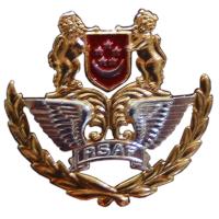 Singapore Air Force Officer Beret Badge
