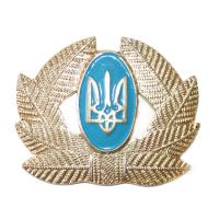 Soldier, combined arms  Badge Armed Forces of Ukraine #1