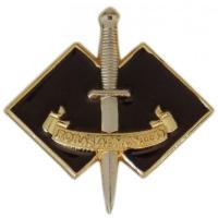 COMMANDO REGIMENT BADGE ROYAL AUSTRALIAN ARMY
