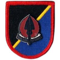 Special Operation Aviation Command Beret Flash. USA