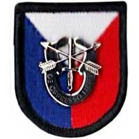 6th Special Operation Command Support Beret Flash. USA