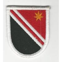 84th Engineer company ( Airborne)