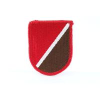 173rd  Engineer coy