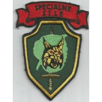 Special Forces brigade "MORIS" type3