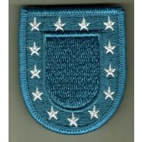 US Army  General beret flash since 2001