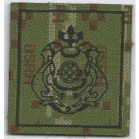 Navy Diver badge