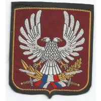 Special Operation Force ( obsolute)