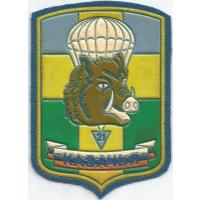 21st Separate airborne brigade