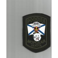 Marine unit  of Northern Fleet