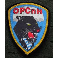 Separate company of the Special Force