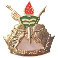 Syria Officers Beret Badge