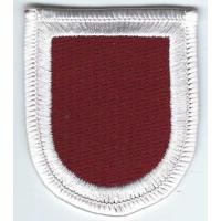 307th Medic bn